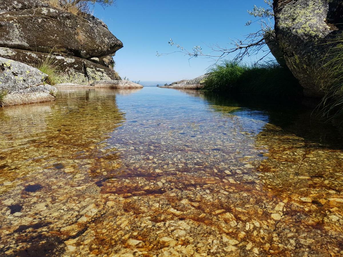 Casa Da Bela Vista - Serra Da Estrela Covilha Bagian luar foto